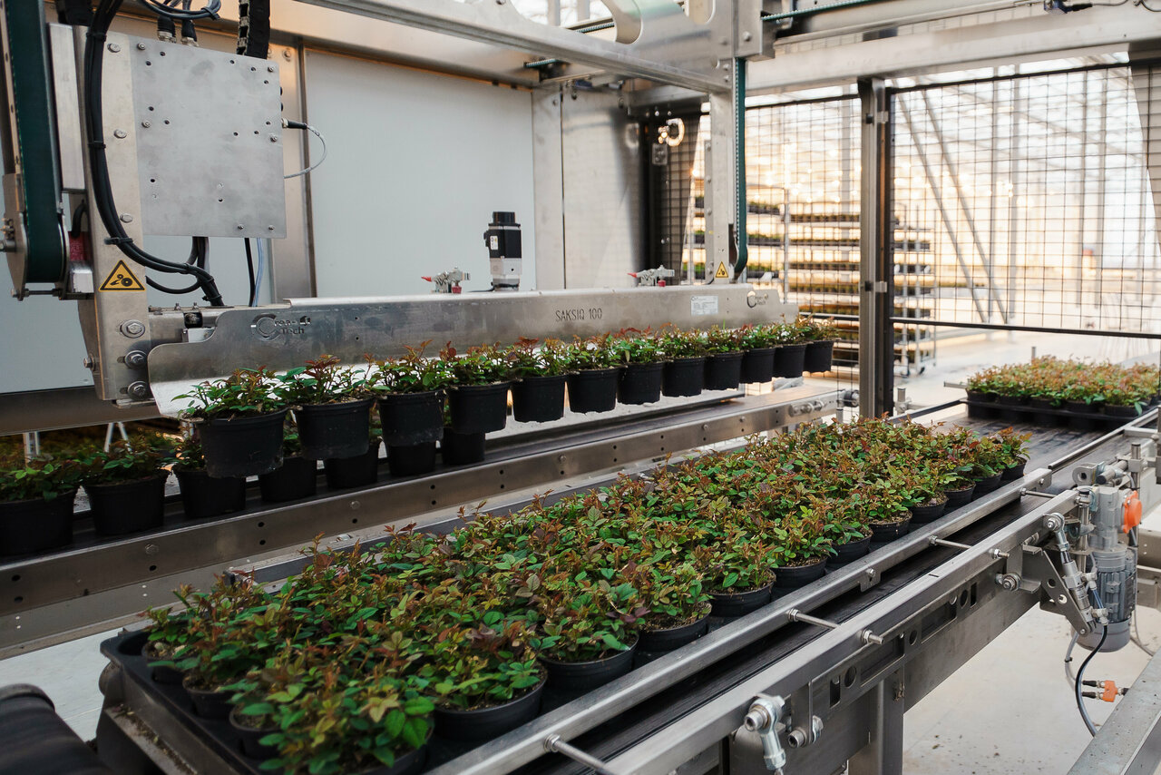 Labour-savings with potting and spacing robotics